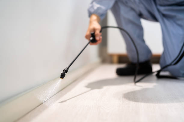 Licensed Fumigation Services service in Bryson City, NC - Nex Pest Control