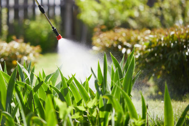 24/7 Emergency Fumigation Services experts in Bryson City, NC