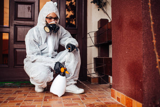 Reliable Fumigation Services contractor in Bryson City, NC by Nex Pest Control