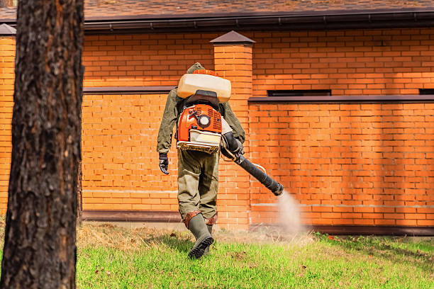 Trusted Bed Bug Control service in Bryson City, NC - Nex Pest Control